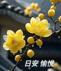 حي الامير • ١٢٥م • سند زراعي