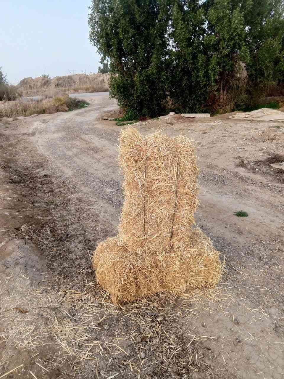 سلام عليكم ورحمه يوجد الدينه تبن البيع سعر تصال عل رقم ***********
