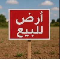 البصره الحيس • ٦٧ دونم • عقد زراعي