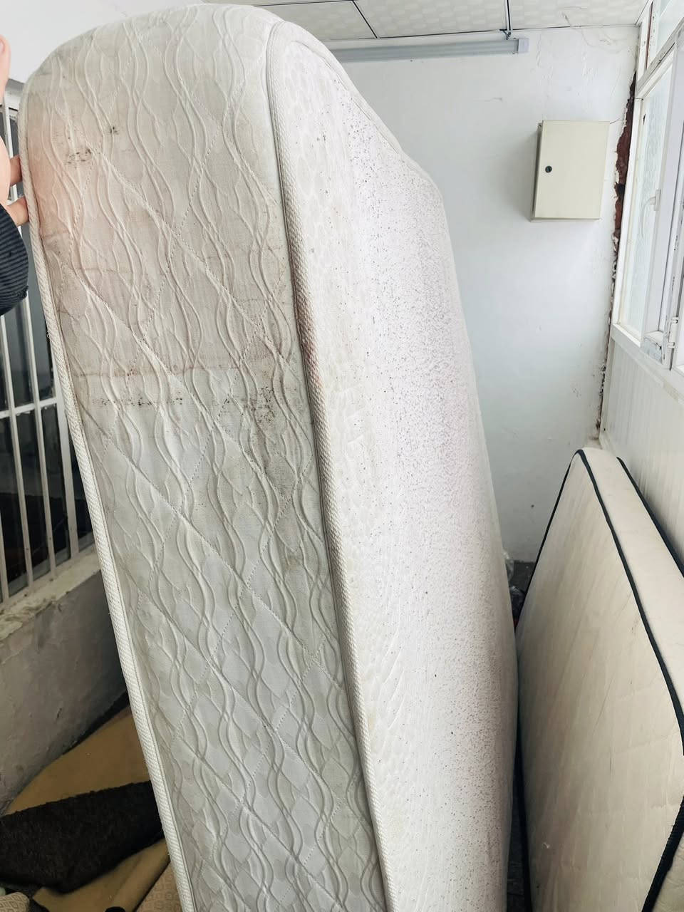 دوشك سفنج نفرين مضبوط كلش قياس 180 _200 للبيع


**إذا كنت صاحب هذا الإعلان وتريد حذفه لأي سبب، رجاءا أرسل رسالة إلى الدعم الفني**