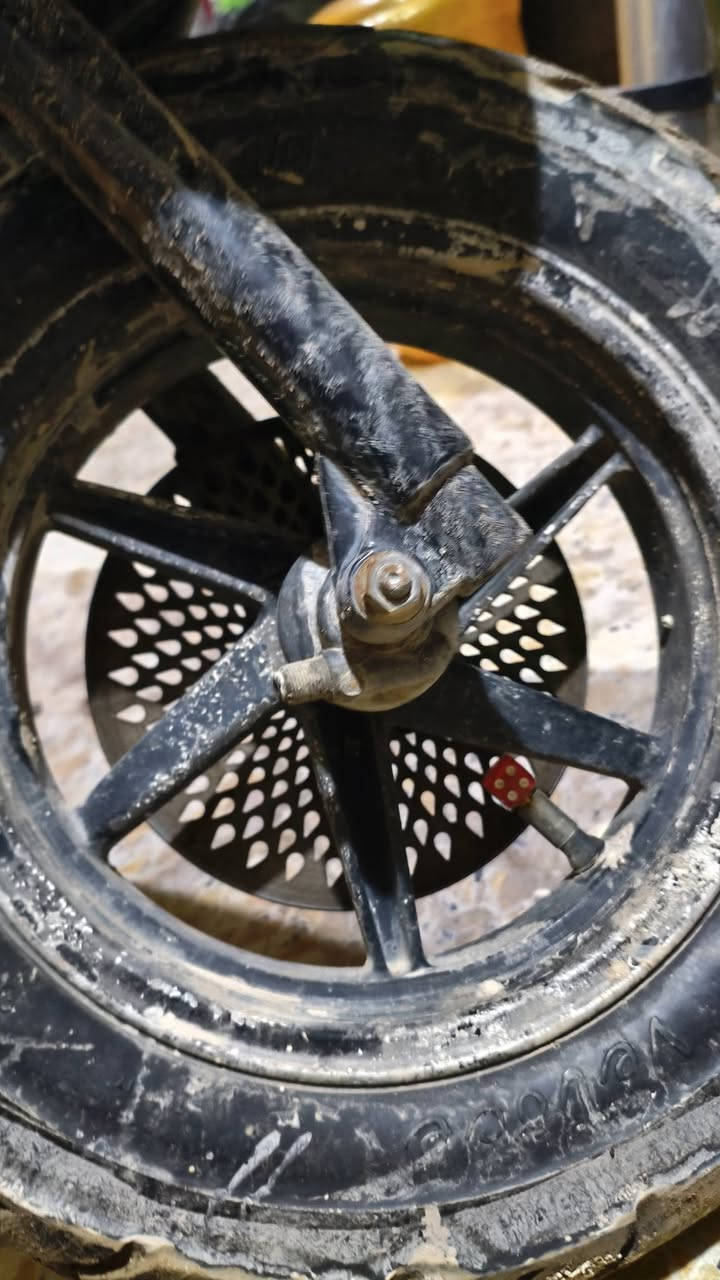 ويل نجمه ماكس مكفول لبيع مكاني شعب  ***********
