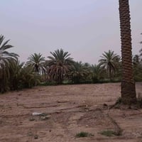 ١٢٠٠م • صرف زراعي • طريق حله دوانيه