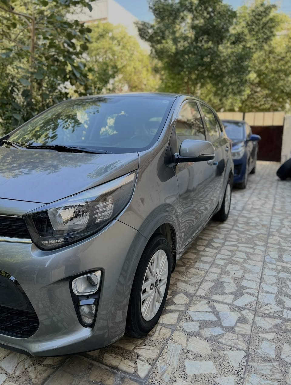 السلام عليكم
كيا بيكانتو 2023 لون نفطي وارد خليجي كفالة عامة ماشية 23 الف كيلو فقط رقم اربيل تحويل او وكالة 

مواصفات 
محرك DOCH المرغوب 4 سلندر   
تحكم ستيرن جهتين  
4 جام كهرباء 
بلوجكتر امامي
شاشة 
كامرة دوارة 
لد نهاري
ويل كب 
مانع انزلاق
 حساس اطار
مري شفط
مري كهرباء 
سويج عدد 2 
AUX و USB
 بلوتوث وحاكية تليفون 
اريل نافيكيشن

السعر 126$ وبيها مجال  

مكاني بغداد علي الصالح
للاستفسار 
واتساب ***********

***********
