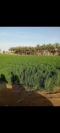 ناحية النيل • ٨دونم • ماء وكهرباء