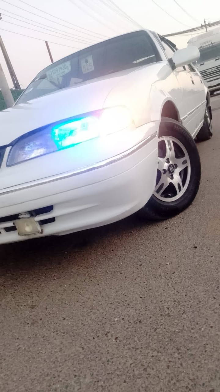 السلام وعليكم
تحيه طيبه دايو برنس  للبيع رقم  بغداد انكليزي مشروع وطني باسمي تحويل بنفس اليوم رقم دولي انكليزي  سنويه لل31  هزه جديده تتحول باي مكان موديل  1996 لون ابيض 

محرك مفتوح حجم2000 كير اوتو 

كير محرك اكسل جدد لوك  شواصي جدد بشرط عل شركه١ بدون خياس بدون تصليح  تبريد ثلج 🥶🥶

صدر امامي خلفي جديد تخم تاير جديد ويل كب جديد دواخل عل بلاد بطاين كشنات جدد  دوشمه  مسجل سماعات فول كهربائيات فول ماكو شي طافي كلها شغاله مشط وباور جدد  

(ملاحظه)

السياره مصبوغه    بس للجماليه بدون حادث 

قطره خياس مابيهة حته الدوسات بلاديات بدون تصليح 

مكان السياره بغداد  الشراي يتصل غير متواجد عل فيس اتصال فقط اني مكلف بالنشر السياره مال صديقي مكلفني بنشرهة يعني لتراسلني اتصال واعرف التفاصيل 

رقم الهاتف ***********

***********

*********** 

اسف عل اطاله موضحلك كلشي بلمنشور 

والسعر 43 وبيهة مجال للشراي اتصال فقط
