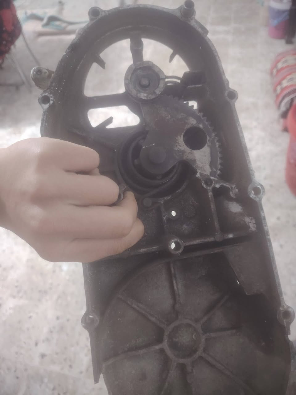 غراض تفصيخ ماكس عدله

كلمن وسعره  لشراي يتفضل خاص 
صالنصه MTRT قطره لحيم مابيه ومرتبه 
قبق هندر مع الهندر وغراضه 
سبايدر
بنز بريك خلفي
راجز سلف 
أشيار 
كابريتر اصلي 
لد اصلي 
باتريات كلمن وسعره
شيال بلادي
كلج امامي هوه ولخرز بس صفاكه ثانيه مابي
سبرنك  كلج اصلي بلادي 
مكاني كوت-داموك حقوقين- تريد شي تفضل خاص اسعارهن


**إذا كنت صاحب هذا الإعلان وتريد حذفه لأي سبب، رجاءا أرسل رسالة إلى الدعم الفني**