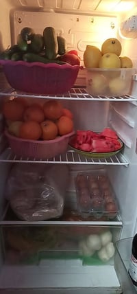 ديكو • حجم وسط • أبو غريب