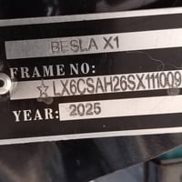 بيسلا X1 • ٢٠٢٥ • مشي ٢٥٣