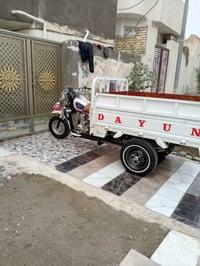 ستوته • موديل 2020 • أوراق كماله