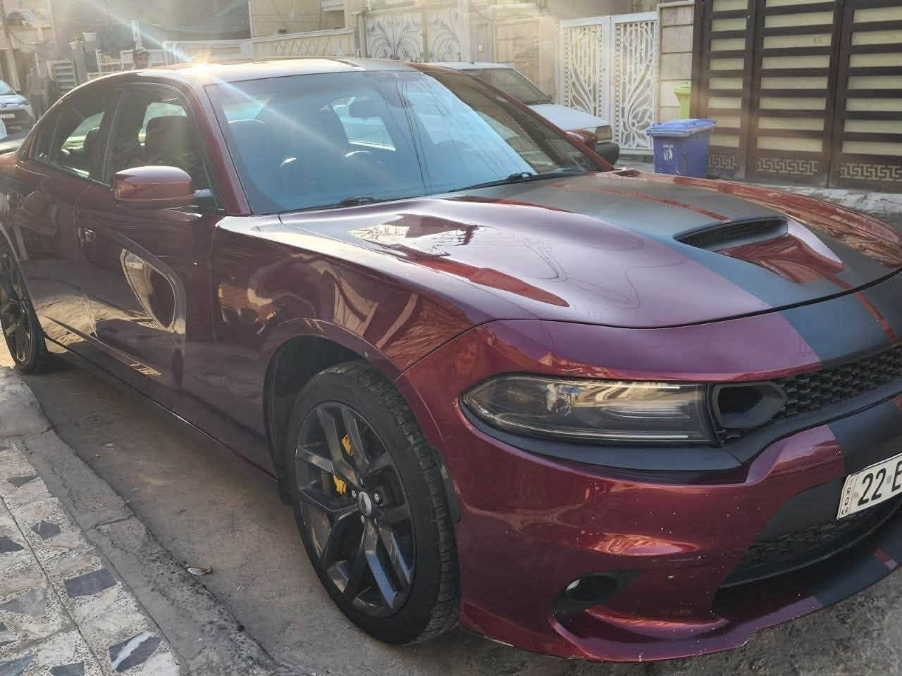 للبيع جارجر موديل 2021 Sxt Plus ✅

سعرها ادخل ع رابط https://t.me/carssofiraq/16577

تحويل اي يوم رقم اربيل

وارد امريكي قطعتين جاملغ ايمن وبنيد بدون شاصي بدون لغد

ماشية 61 الف ميل حقيقي

فول مواصفات

سلايد فتحة سقف

خزن ميموري

تدفئة وتبريد مقاعد

مقاعد حاضنة

حساسات خلفية

هيترات مرايات جانبية

مري قلابة ويه الرجوع

تحكم ستيرن

تدفئة ستيرن

تحكم مقاعد كهرباء

داخل اسود

شاشة كار بلر

مصروف عليها تبديل تايراات ويل كب4

وتصليح وتحديث دعاميات للsrt والبنيد srt

دخولها وتصليحها ع ايدي رقمها اربيل باسمي

صدر امامي خلفي مبدل قبل كم يوم

وتبديل بلكات وتنظيف منظومة الاحتراق

يعني السيارة جاهزه متصرف عليها شي

للاستفسار والاتصال *********** ياسر
واتس متوفر
.
.

🚗اعرض سيارتك ع اقوى قناة تلكرام و واتساب و صفحتي فيسبوك للبيع و شراء سيارات ادخل ع رابط 👈 https://t.me/carssofiraq
