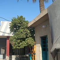 دار للبيع  📍 الموقع: المدائن – قرب المشروع 📐 المساحة: 750 متر مربع 🛣️ ...