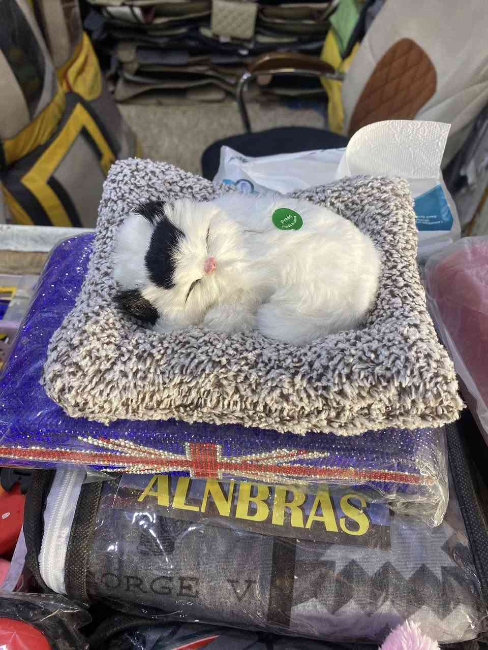 اكسوارات السيارات البناتيه لسفسار ***********
