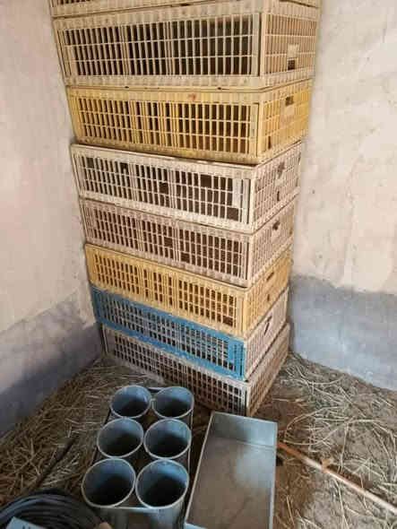 مكلف بالنشر هذا رقم ***********
مكان البصرة خور الزبير
