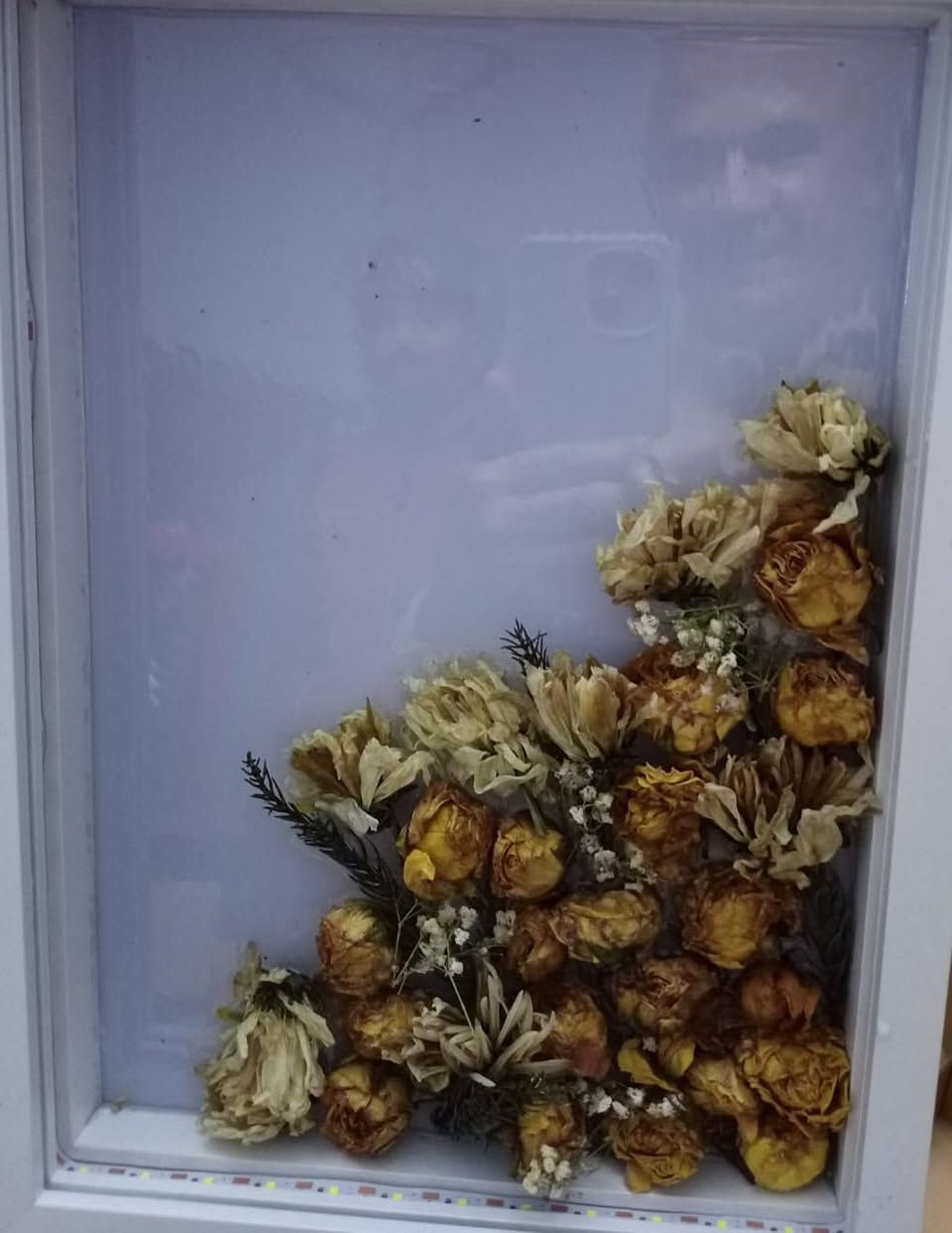 اكو ذكريات نحب نحتفظ بيه مثل الورد 
للحجز مراسله الصفحة
يوجد توصيل لكل المحافظات


**إذا كنت صاحب هذا الإعلان وتريد حذفه لأي سبب، رجاءا أرسل رسالة إلى الدعم الفني**