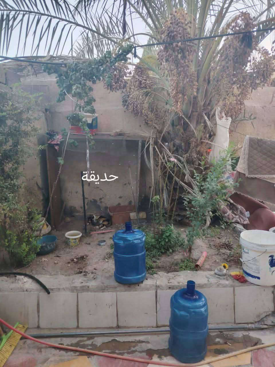 السلام عليكم
بيت للبيع 200 متر العنوان:  السماوة حي سبعة نيسان قرب صيدلية اكستراالبيت طابو زراعي 
الشارع مقرنص +انترنيت ضوئي 
البيت يتكون من3 غرف نوم مطبخ صالة براني حمامات داخلية و خارجية وحديقة البيت يتكون من طابقين الطابق الثاني غير مكتمل 
للأستفسار ↙️⬇️↘️التواصل 
🏠🏠🏠🏠🏠🏠🏠🏠🏠🏠
#مكتب_السراج_للعقارات_و_المقاولات
***********📞
📍عنوان المكتب 📍السماوة _تقاطع الحيدرية _محلات ملعب المثنى
