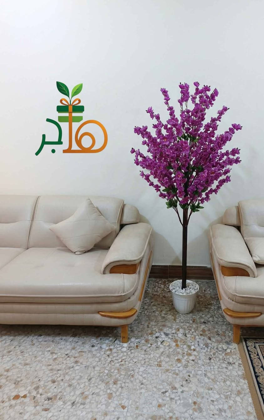 ارتفاع الشجرة :  175cm 
سعر الشجرة : 25,000 دينار عراقي 

أطلبوها الآن : *********** النجف, العراق
