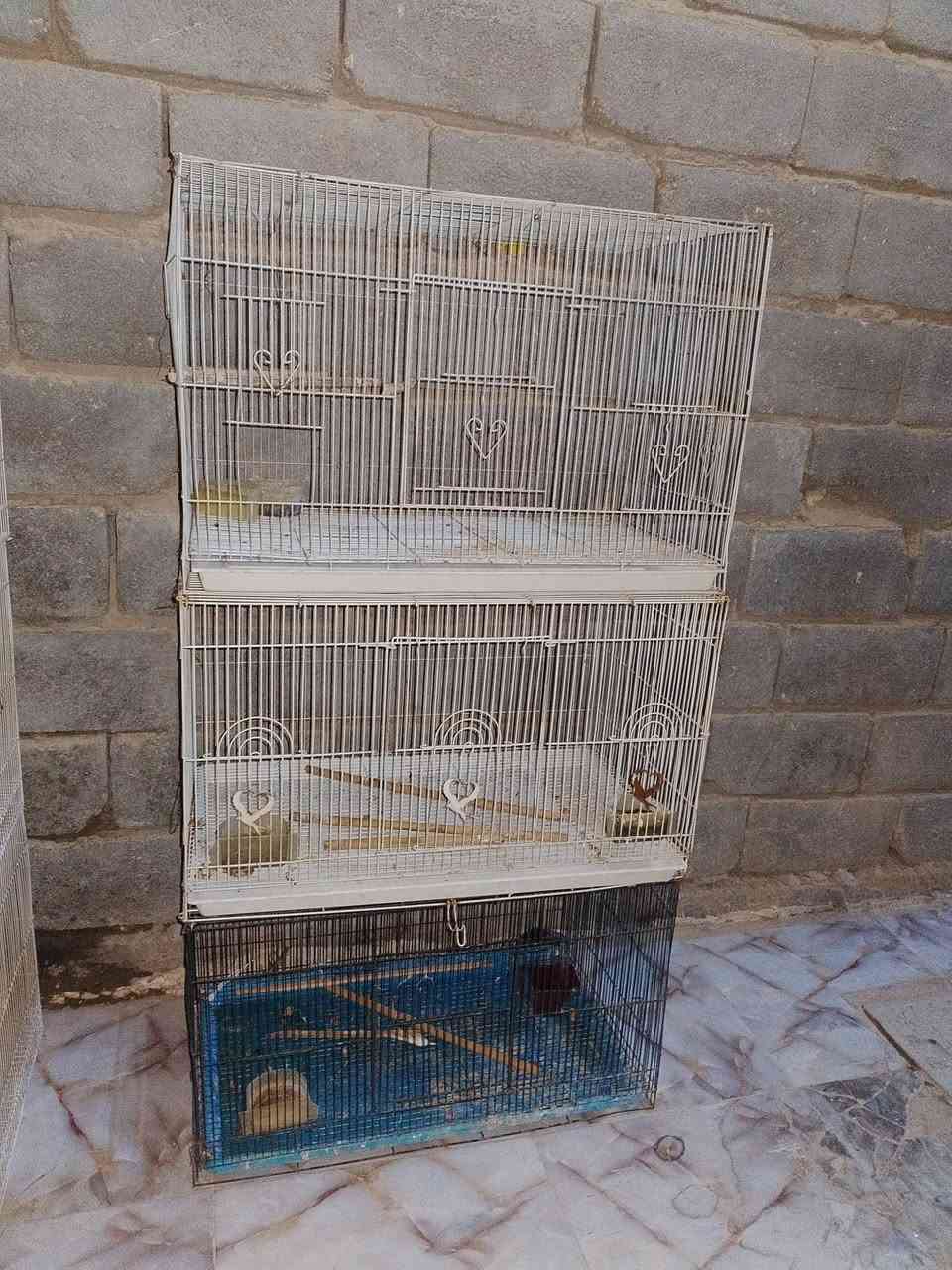 السلام عليكم قفاصه مال طيور للبيع عدد 6 بس مطبوكات سعر مناسب مكلفه بنشر للتواص على الرقم ***********

