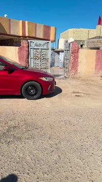 حله بابل • طابو زراعي سند حديث • ٢٥٠م