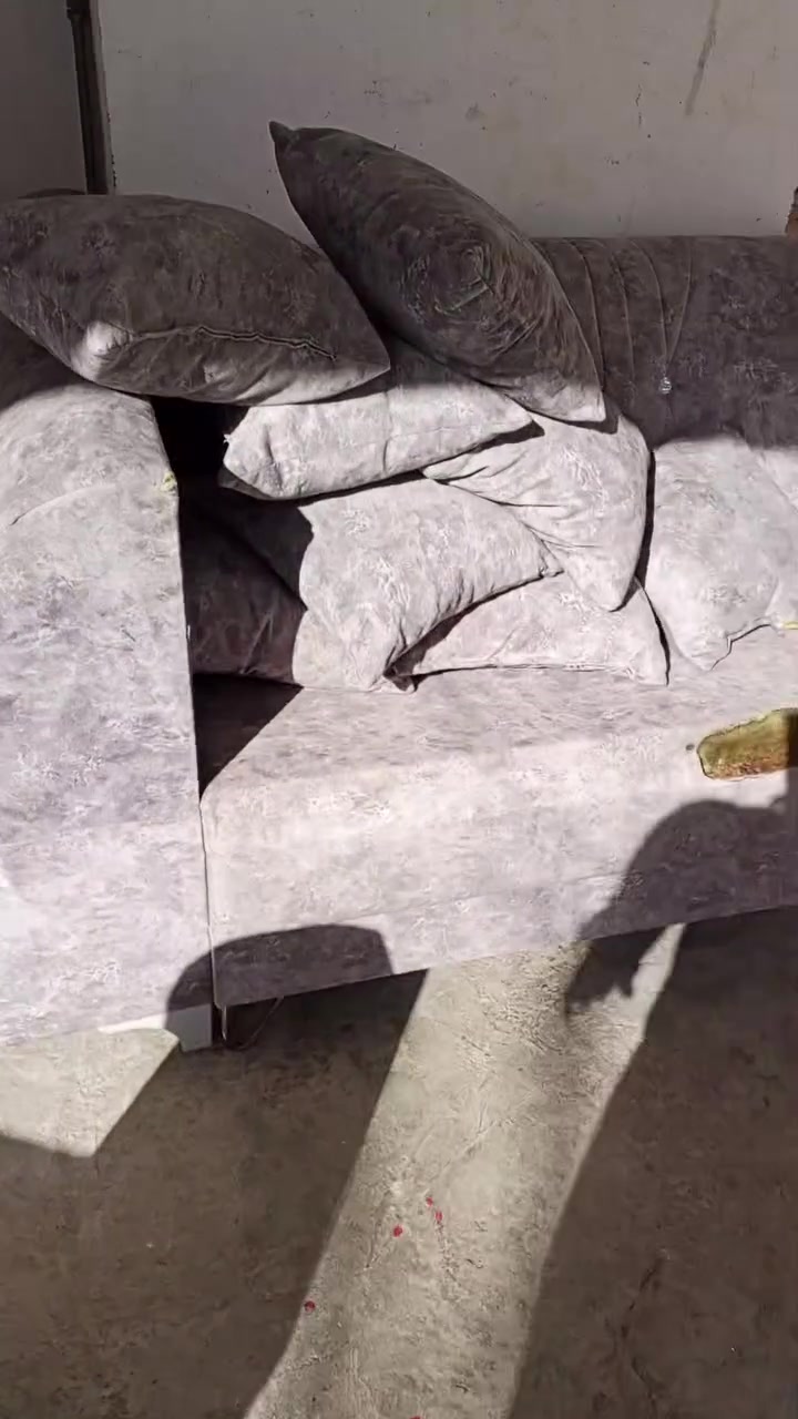 تخم 12قطعه البيع السعر خاص الي يريد يتفضل


**إذا كنت صاحب هذا الإعلان وتريد حذفه لأي سبب، رجاءا أرسل رسالة إلى الدعم الفني**