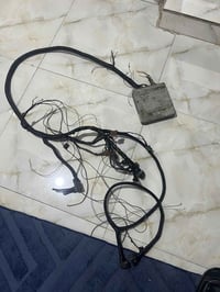 ضفيره ونجي هيه وعقل للبيع مكاني بغداد ٠٧٧٢٢٢٣٠٩٤٣