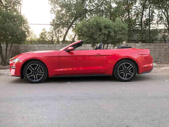 موستك موديل ٢٠٢٣ بدون رقم صور الحادث بالمنشور 180$وبيها مجال وترهم مراوس للاستفسار ***********
اني مكلف بالنشر اتصل بالرقم
