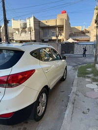 توسان خليجي • ٢٠١٠ شكل ٢٠١١ • صبغ بابين