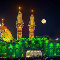 حملة انوار الهدى • زيارة العتبات • كربلاء الثلاثاء