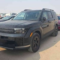 سنتافي • ٢٠٢٤ • كتاب شهداء