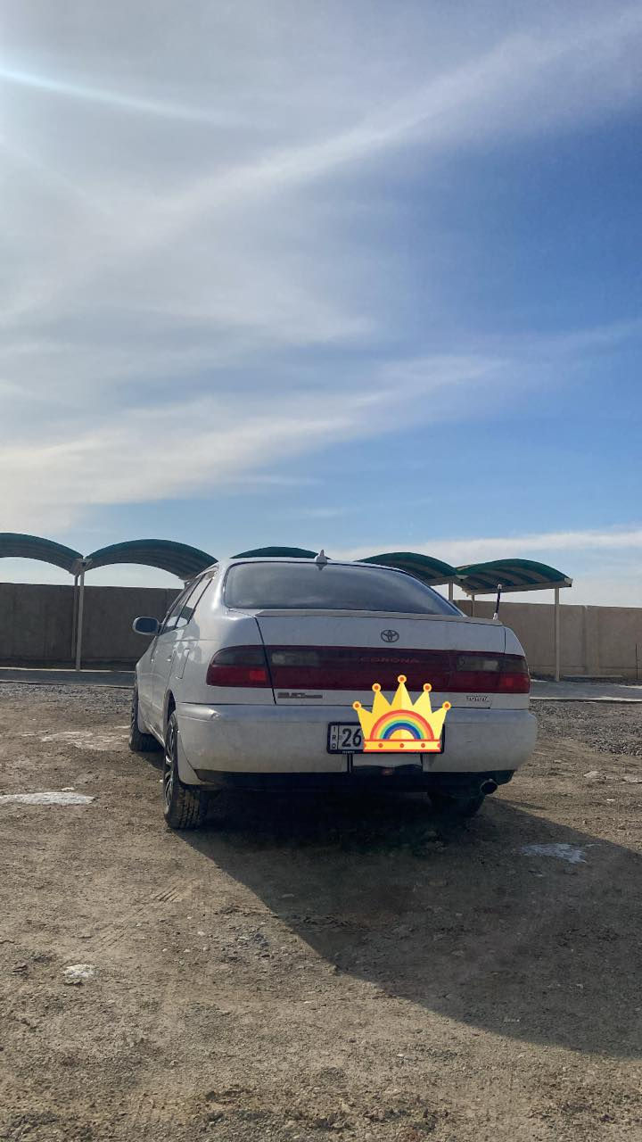 فرخ بطه موديل ( 1992 ) رقم صلاح الدين دولي سنوية ( 2030 )شرط التحويل محرك وكير نضيف حجم( 16 )  
السيارة جاهزه وبدون صبغ السعر ( 65 ) العنوان الشرقاط 
رقم الهاتف ***********
