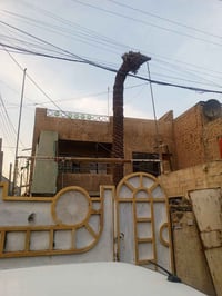 مجلة 805 • ٢٠٠م • تفليش