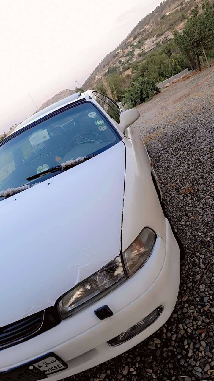 مازده 6پستن گئرومه كينه ته بريد به شه رت 
ئارمووسه نه وى به شه رت
***********
***********واتساپ
شقلاوه
