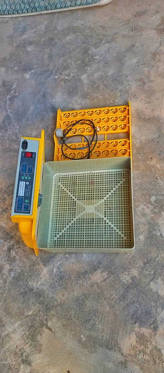 بسم الله الرحمن الرحيم
‏
‏فقاساة ماركة JANOEL  مناسبه لجميع انواع البيض
‏
‏الحراره 🌞اوتوماتيك 
‏
‏الرطوبه 💦اوتوماتيك 
‏
‏تقليب اوتوماتيك 
‏
‏ تاخذ ٤٦ بيضه دجاج 
‏
‏و١٢٠ بيضه سمان 
‏
‏مستعمله موسم واحد شرط الفحص 
‏
‏السعر ١٥٠ وبي مجال 
‏
‏هاذا رقم الهاتف:‪***********‬
‏
‏اي استفسار راسل الصفحه او اتصل 
‏
