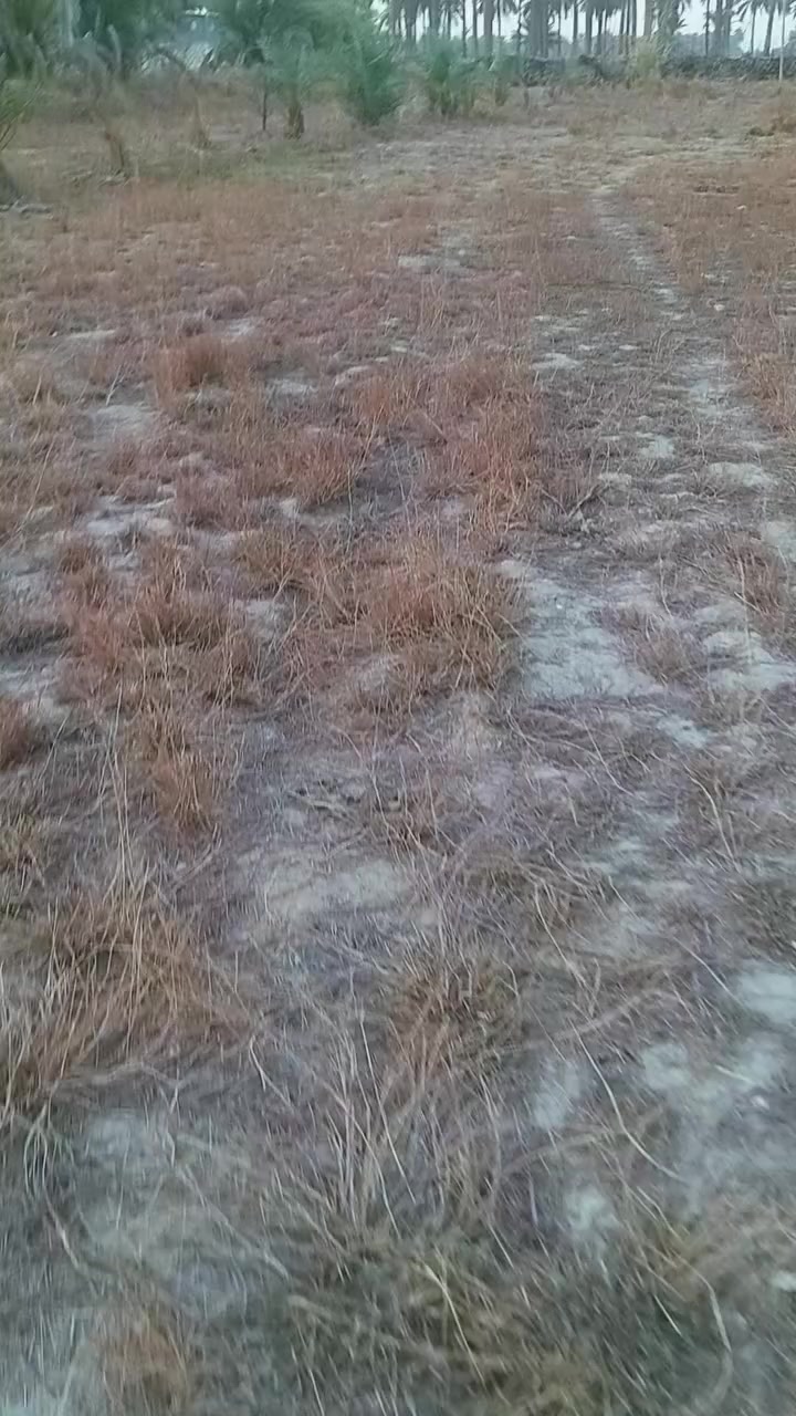 دونم للبيع مقابيل جامع سيد شاكر طريق شريفه كربلاء سعر ٥٠ مليون


**إذا كنت صاحب هذا الإعلان وتريد حذفه لأي سبب، رجاءا أرسل رسالة إلى الدعم الفني**