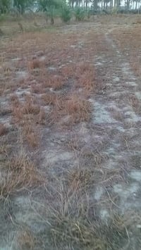 دونم • مقابل جامع سيد شاكر • طريق شريفه كربلاء