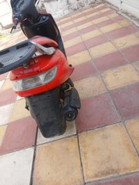 شغالة • سلف • هندل