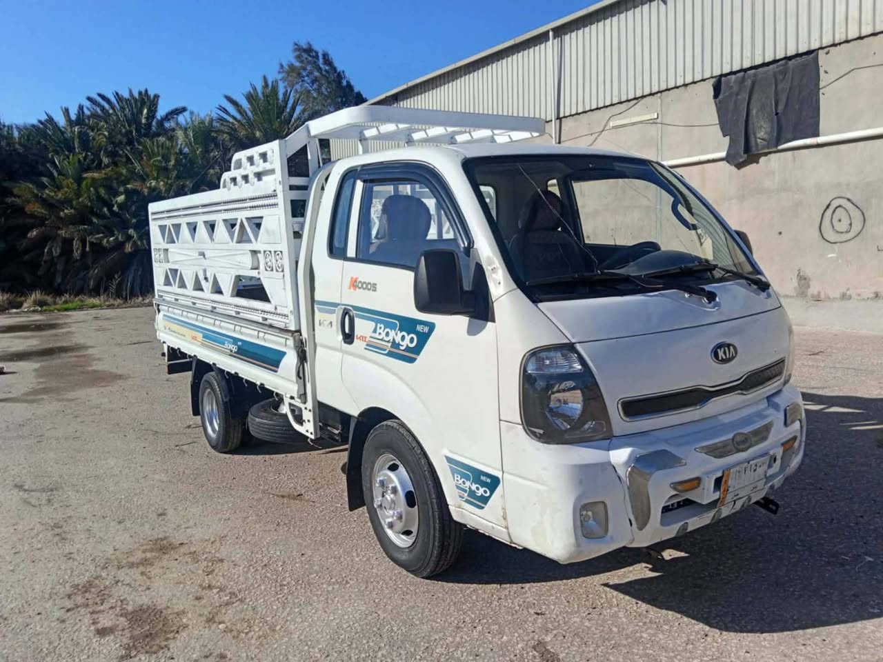 كيه فحل لبيع موديل 14  شراي يتصل  *********** شراي تصل بي خير ويدلل
