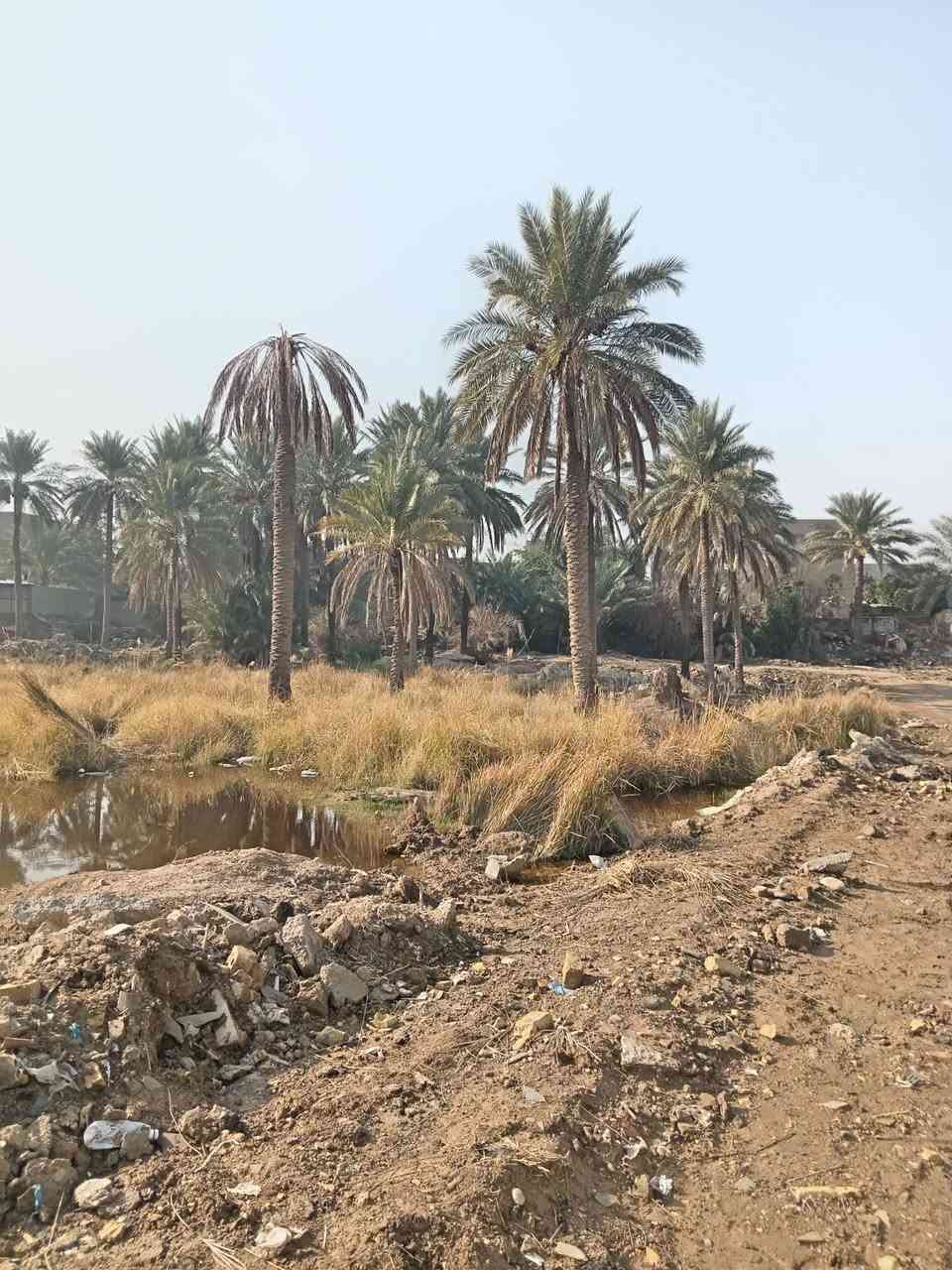 سلام عليكم دونم للبيع بعقوبه منطقه ام العضام طابو زراعي سند 25 خدمات كامله منطقه كلش حلوه لاستفسار على هذا الرقم ***********
