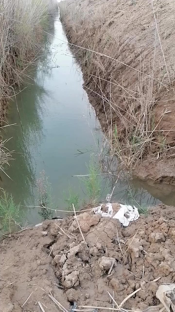 للاستفسار الاتصال على ***********
***********
