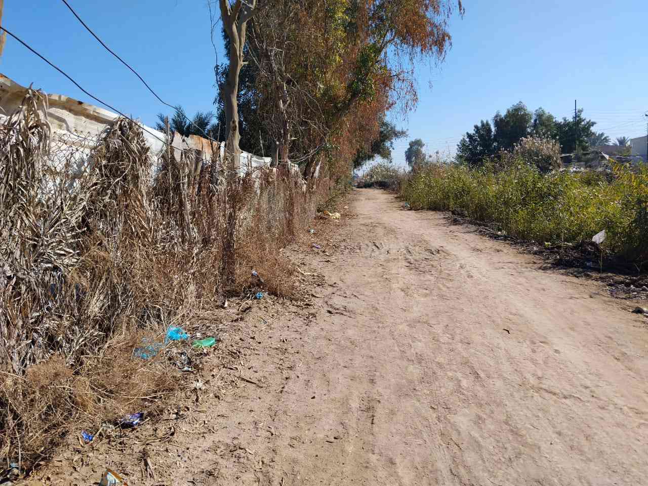 كاع زراعي مقابل حيدر زيونة عبور البزل قرب الجسر الاصفر متجهة ع مشروع  ستمئة متر مع بيت تصميم قديم وسندويج سقفة قياس البيت مئة وستين تقريبا

*********** هذا رقم ابو الارض
