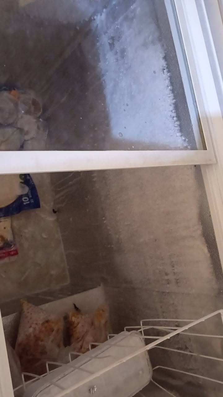 مجمده نضيفه كلش ومابيه ضرر ابد ولا داخله تصليح وتجميد  سعرها ١٥٠ قفل الي يريدها يتصل ع هذا الرقم ***********
