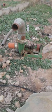 ام ٦ • بصيط • قضاء الدجيل