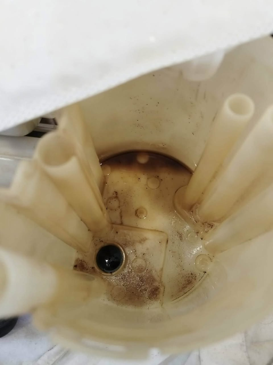 Shireen German Auto Service-  مركز شيرين لصيانة السيارات الالمانية
زبائننا الكرام

 السيارة الاولى 🚘: 

اشتكى الزبون من عدم وجود سحب بالسيارة ( مجتفة ) تم فحص السيارة وتم تبديل فلتر بنزين فقط ( وبدون مناخذ فلوس فحص لان يبدل دهن يمنا )  ، علما بان السيارة هي فولكس واگن تاوس ( Taos ) موديل 2023 محرك 1.5   .

🌹

السيارة الثانية 🚖 :  

تبديل هدروليك كير الماني ( على رقم الشاصي للسيارة مو بالبكيف ) مع فلتر كير الماني خاص ( جانوا مخلين ٦ لترات هيدروليك عبالهم دهن محرك ) علما بأن السيارة هي فولكس واكن اطلس  ( Atlas  )  موديل 2019 محرك 3.6   . 

🌹
🌹

اسماء الرابحين بالقرعة الشهرية للفلاتر المجانية : 

١-زياد طارق كريم 
٢-ياسين محمد اسماعيل 
٣-مرتضى رسول 

🏆 الفائز الرابح باجور عمل المجانية : 

٤-نه به ز  كمال ابراهيم 

🌹

‏‎زبائننا الكرام 

‏‎عروض وكالتنا :

1-تبديل هيدروليك كير ⚙️ بدون اجور عمل .

2-في حالة تبديل دهن محرك 🛢️لدينا سوف تحصل على : 

‏فحص كومبيوتر 💻 مجانا في وقت تحتاجه سيارتك الى فحص . 

‏‎فحص كامل للسيارة - الصدر  الامامي مجانا في وقت تحتاجه سيارتك الى فحص  . 

🏎️ اما في حالة قيامك بأي صيانة في ورشتنا فسوف تدخل تلقائية الى القرعات الشهرية : 

‏‎1-سحبة الشهرية للفلاتر المجانية ( فلتر شوتة - تبريد - محرك ) 

2- 🏆 زبائننا الكرام العرض الجديد القرعة كل ثلاثة اشهر سوف تحصل على : 

 * الدهن المحرك مجاني ( بلاش ) 🛢️. 

* تبديل هيدروليك كير مجاني ⚙️ . 

🌹
🌹

موقع شركتنا الجديد

‏https://maps.google.com/?q=36.168079,44.011108

‏‎‏‎شركة شيرين ( وكالة فولكس واگن & سكودا) 

‏‎اربيل - قرب نقليات بغداد ( كراج بغداد) - بالقرب من مرطبات 9* 9 

***********-***********

‏‎الوكالة الالمانية الوحيدة في العراق 🇩🇪

#erbil #Atlas #kurdistan #Volkswagen #audi #baghdad #iraq
