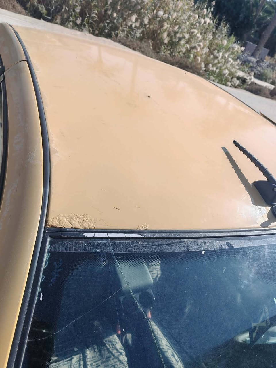 سمند 2010 كير مكينه حداديه شواصي كهربائيات  جاهزة رقم دولي  مثنى  راعيه يريد تحويل  مكان سماوة  سعرة 26 بيه مجال بسيط ***********
