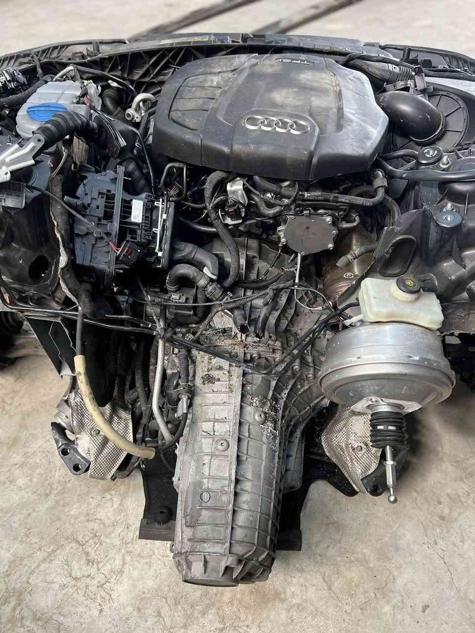 من كراج المتوكل اسعد الله صباحك
تم وصل بضاعة جديده عنونه موصل كوكجلي مجمع اسود الرافدين 

اودي A6 2016

***********

@الجميع
