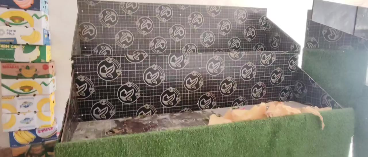 السلام عليكم ميوزه فواكه لبيع


**إذا كنت صاحب هذا الإعلان وتريد حذفه لأي سبب، رجاءا أرسل رسالة إلى الدعم الفني**