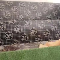 ميوزه فواكه • ديكور • زينة