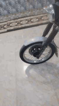 حياكم الله 82للبيع رقم صدامي مااندل رعيها لمانيه صبق ابلادي كصه 5 لحيم بل خشم مكينه خير من الله دراجه حلوه 
بسعر 2750 اوبيها مجال *********** مكان ديالى بلدروز
