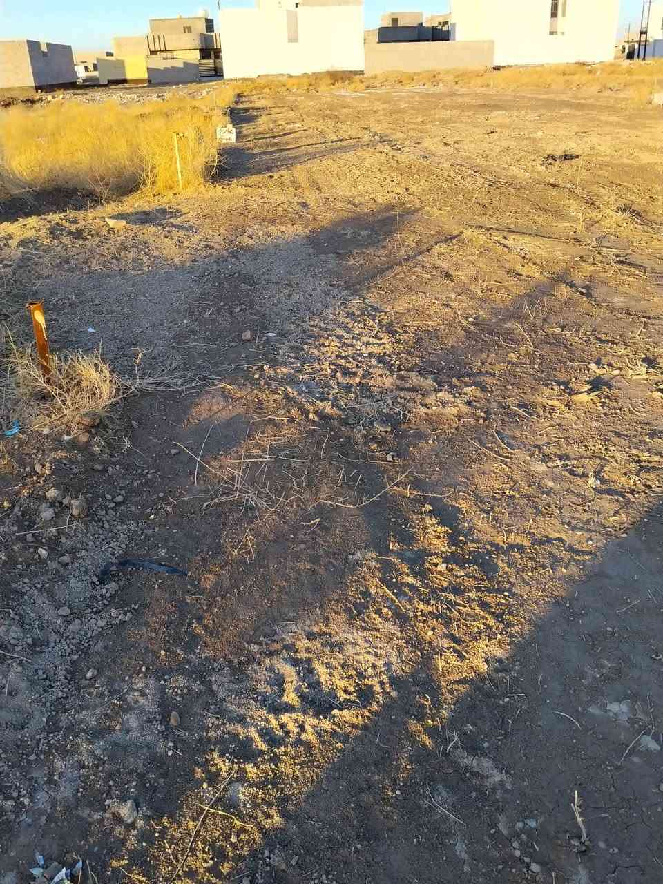 قطعتين طابو صرف سند فسفوره مرقم بلديه الزراعه الثانيه خلف سكه واصلها كهرباء وماء والمنطقه مسكونه القطعه الاولى 247متر والثانيه 229متر السعر 17وبيها مجال ***********
