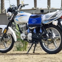 دايون عظم • موديل 21 • اوراق اصولي