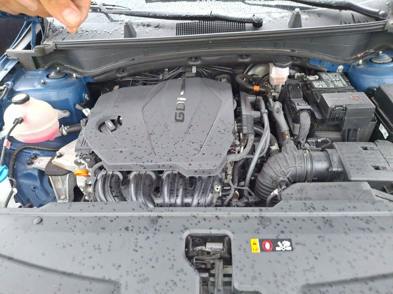 Kia sportage Sx  Prestige 2023 from USA
السيارة امريكية ضربتها جاملغ ( بدلته غير لون و صبغته ) و الباب ضربه بسيطة عكس جهة السايق

عجلات 19 بوصة – تصميم Gloss Black أنيق.  ￼

 مصابيح LED أمامية وخلفية مع أضواء ضباب LED.  ￼

 زجاج بحماية من الشمس (Solar control glass).  

مقاعد أمامية مبردة ومُدفّاة (Ventilated & Heated seats).  ￼

 عجلة قيادة مُدفّأة.  ￼

 مقعد أمامي كهربائي قابل للتعديل (8 اتجاهات)

نظام مراقبة البقعة العمياء (Blind-Spot View Monitor). كاميرا 360 درجة (Surround View Monitor) تساعد في الرجوع والركن.  ￼

 شاشة عرض معلومات وملاحة عالية الوضوح (عادة 12.3″ في الفئة الكاملة).  ￼

 نظام صوتي ممتاز (مثل Harman Kardon )

مساعدة ركن السيارة وأجهزة استشعار أمامية وخلفية.  ￼

 مساعدة تجنّب التصادم عند الرجوع.  ￼

 أنظمة مساعدة السائق الذكية (مثل Cruise Control الذكي والقيادة على الطرقات السريعة)

السيارة استيرادي الخاص .

للتواصل على حساب الفيس

او على الرقم***********
